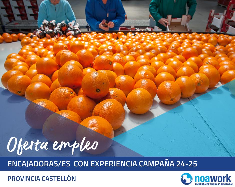 Encajadoras/es  con experiencia campaña 24-25