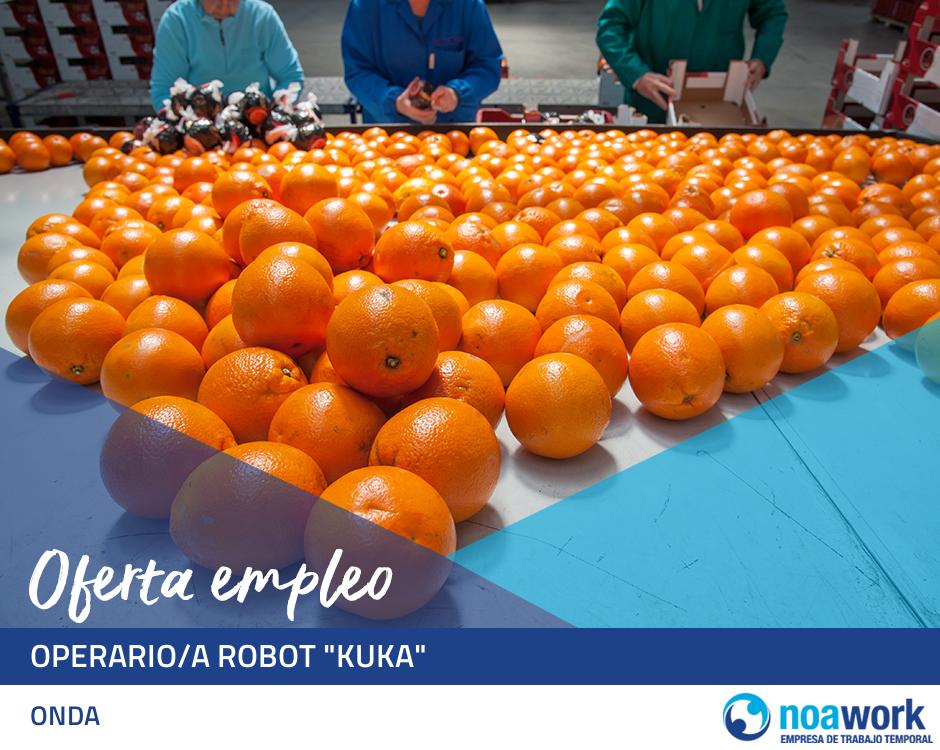 Operario/a robot 