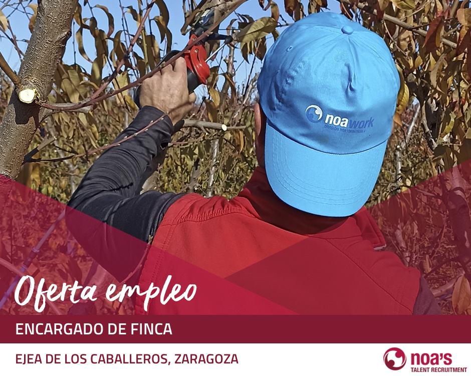 ETT EJEA DE LOS CABALLEROS, ZARAGOZA Encargado de finca