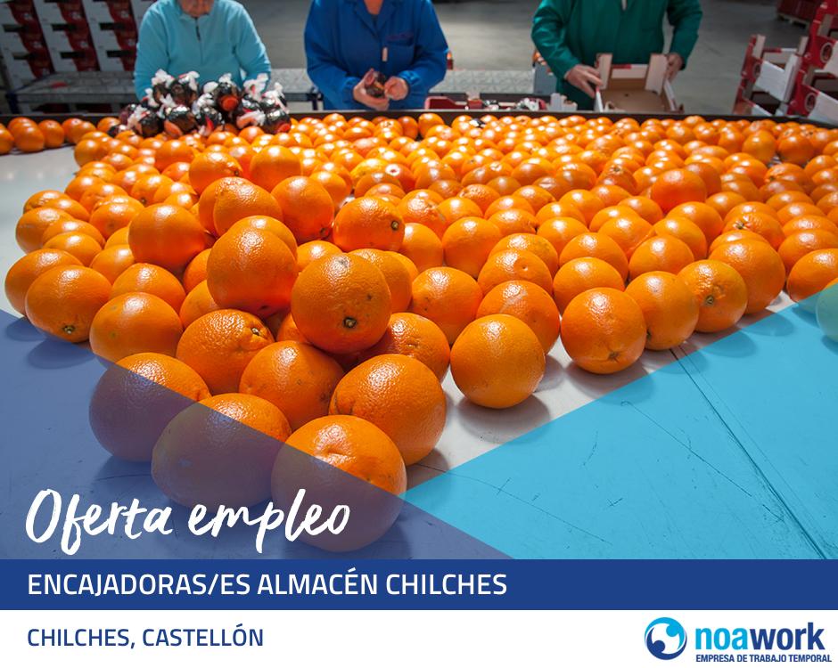 Encajadoras/es almacén chilches 