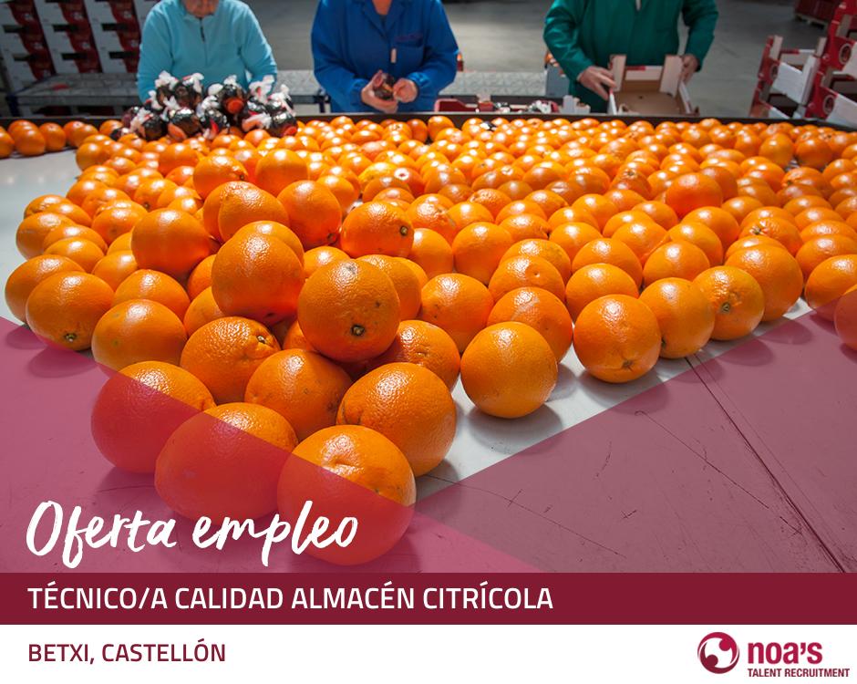 Técnico/a calidad almacén citrícola