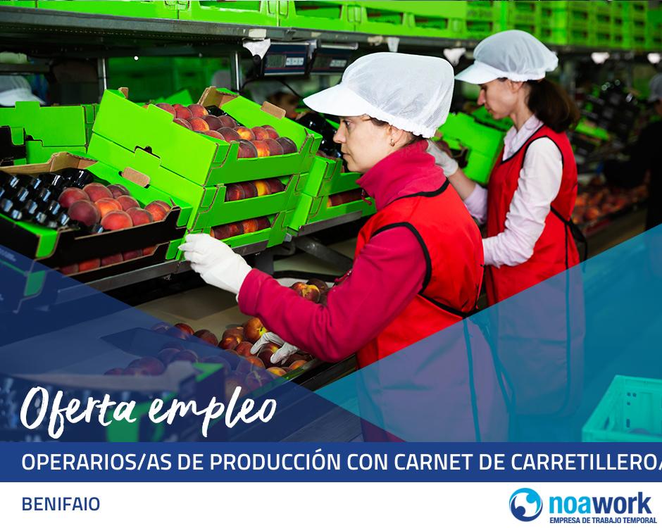 ETT BENIFAIO Operarios/as de producción con carnet de carretillero/a para almacén de patatas